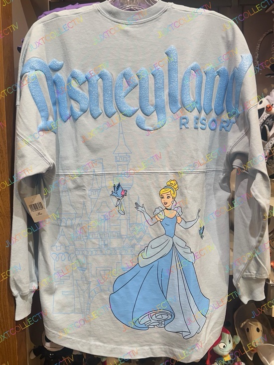 Disney Tops - Disneyland Cinderella Spirit Jersey / Princess Cinderella Castle Spirit Jersey